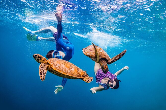 Snorkeling Boat Trip from Hurghada