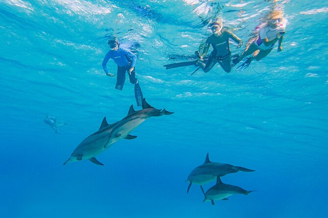 Sataya Dolphin Reef