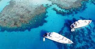Ras Mohamed and White Island