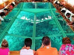 Glass Bottom Boat Adventure in Sharm El Sheikh