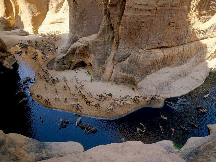 Wadi El Gemal Safari Tour from Marsa Alam