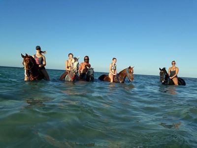 Horse Riding Hurghada Tours: Experience the Beauty of the Desert and Red Sea on Horseback