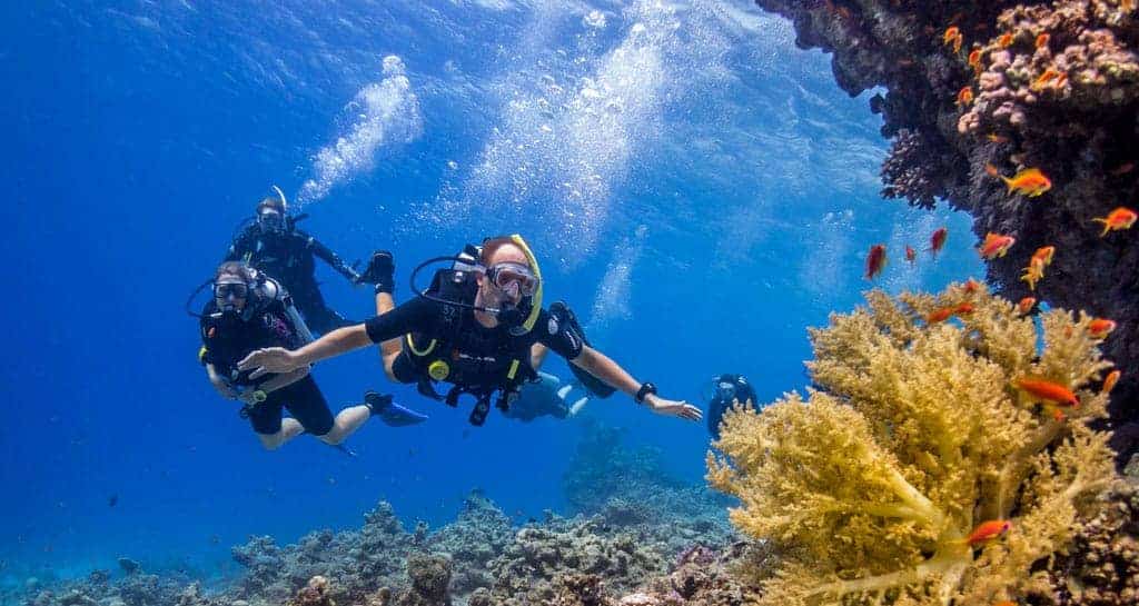 Hurghada Diving Prices tours