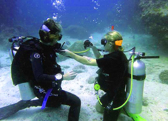 PADI Open Water Diver Course in Hurghada