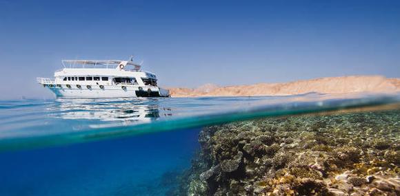 Hurghada trips