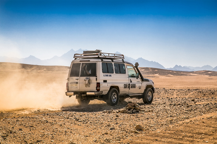 SAFARI2