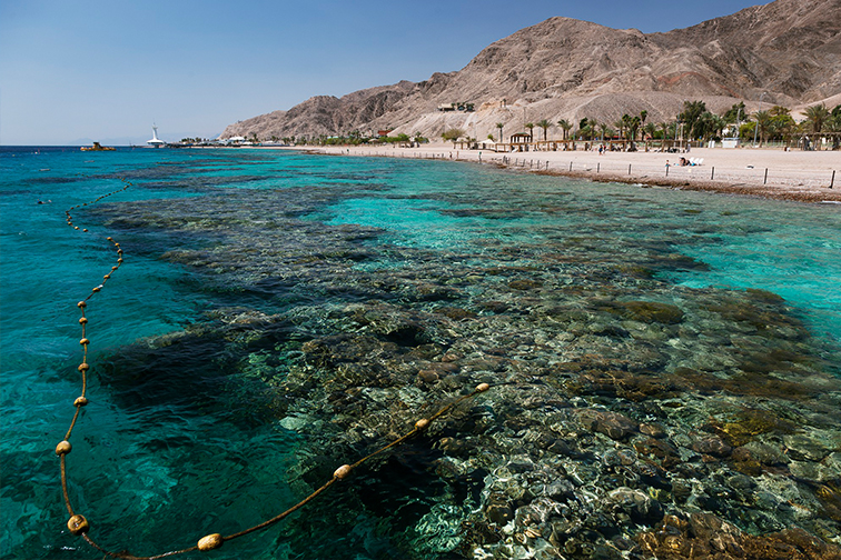 marsa